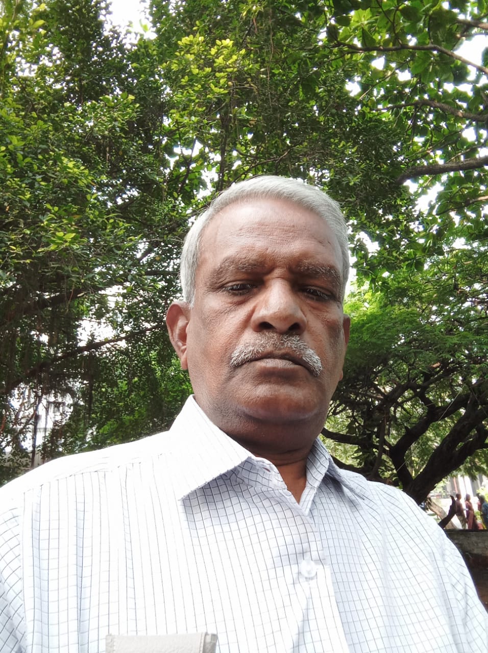  Mr. M. SHANKAR 